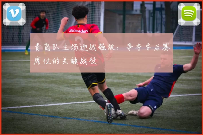 青岛队主场迎战强敌，争夺季后赛席位的关键战役