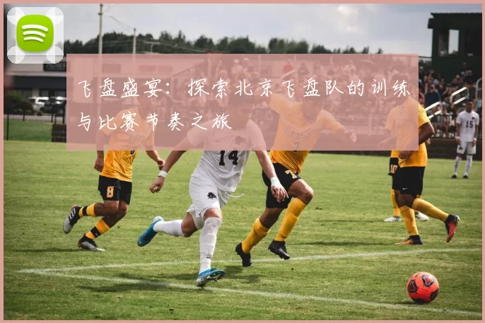 飞盘盛宴:探索北京飞盘队的训练与比赛节奏之旅