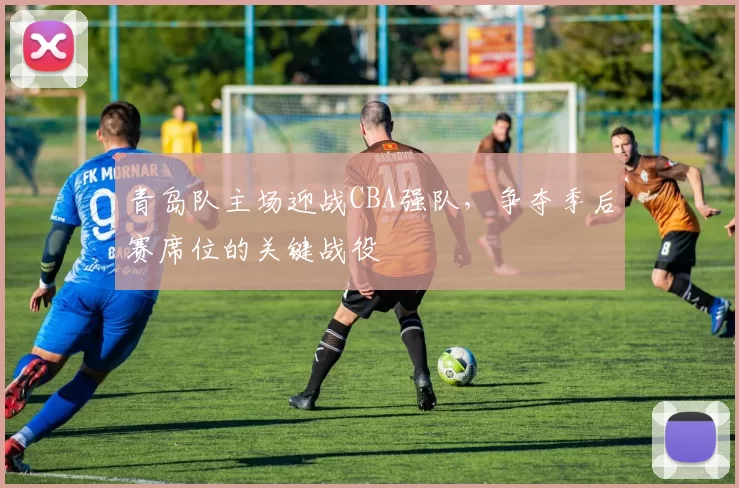 青岛队主场迎战CBA强队，争夺季后赛席位的关键战役