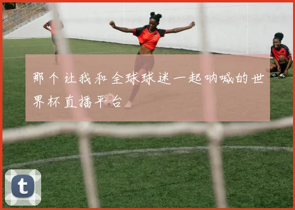 那个让我和全球球迷一起呐喊的世界杯直播平台