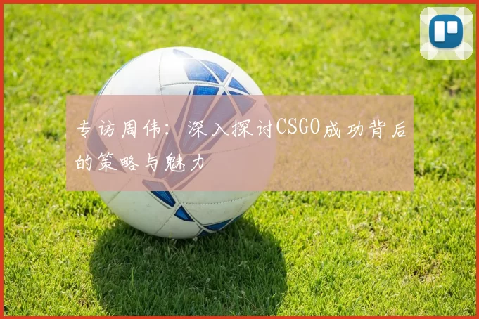 专访周伟：深入探讨CSGO成功背后的策略与魅力