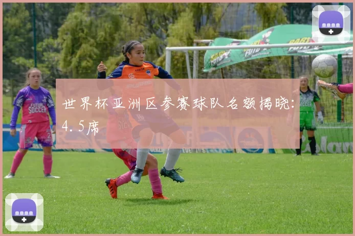 世界杯亚洲区参赛球队名额揭晓:4.5席