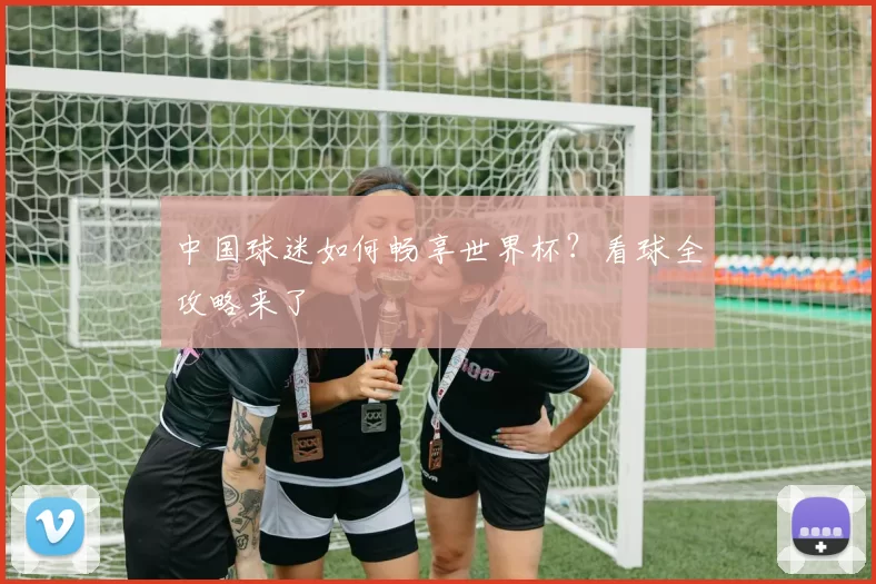 中国球迷如何畅享世界杯?看球全攻略来了