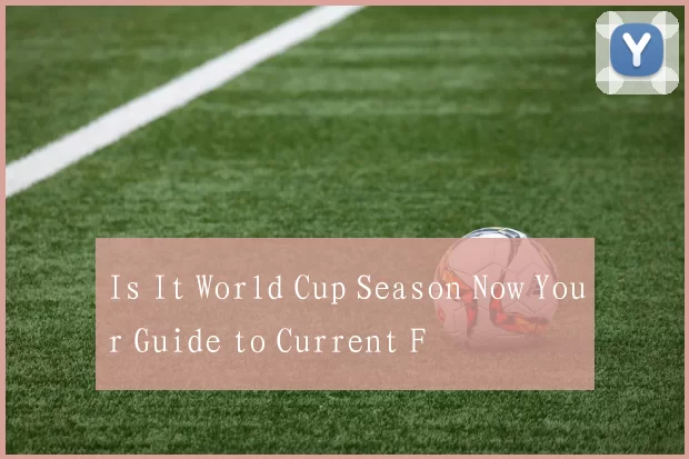 Is It World Cup Season Now Your Guide to Current F