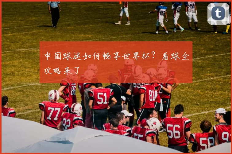 中国球迷如何畅享世界杯？看球全攻略来了