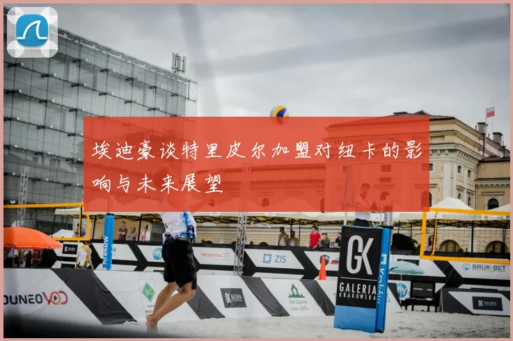 埃迪豪谈特里皮尔加盟对纽卡的影响与未来展望