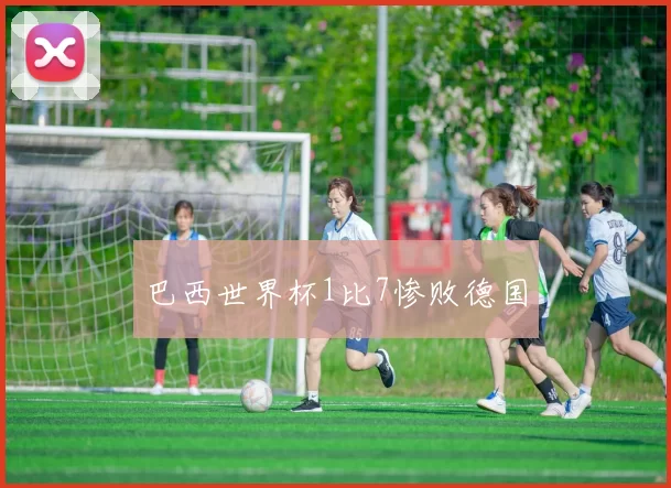 巴西世界杯1比7惨败德国