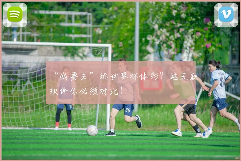 “我要去”玩世界杯体彩?这五款软件你必须对比!