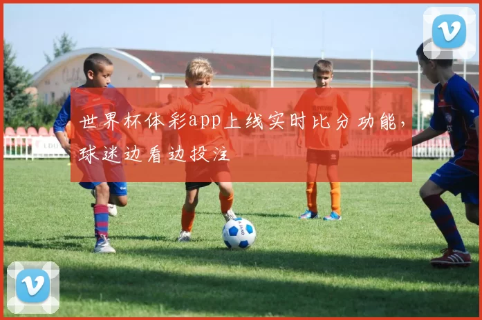 世界杯体彩app上线实时比分功能，球迷边看边投注