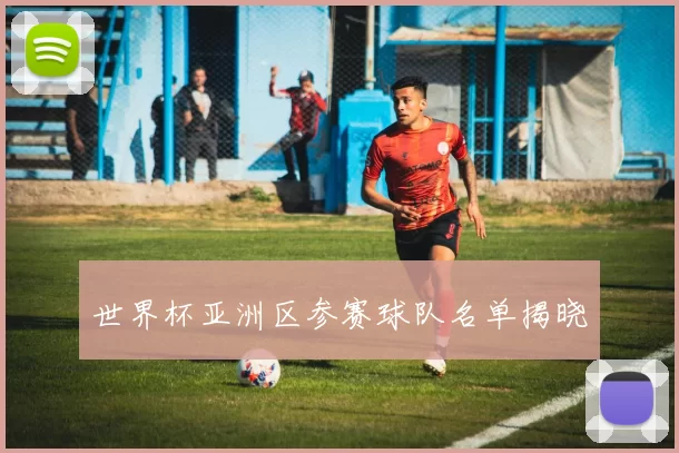 世界杯亚洲区参赛球队名单揭晓