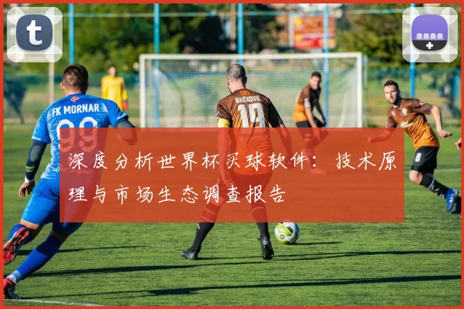 深度分析世界杯买球软件:技术原理与市场生态调查报告
