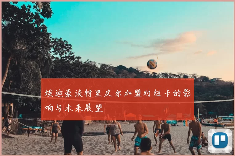 埃迪豪谈特里皮尔加盟对纽卡的影响与未来展望