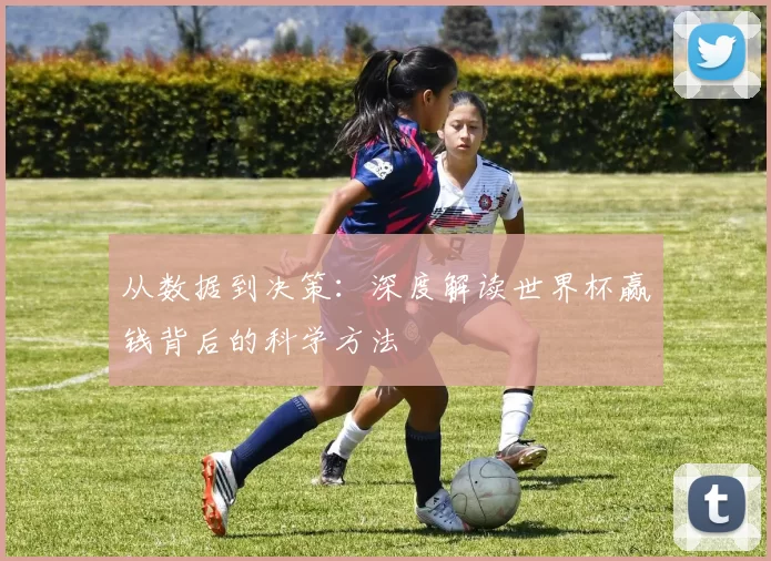 从数据到决策：深度解读世界杯赢钱背后的科学方法