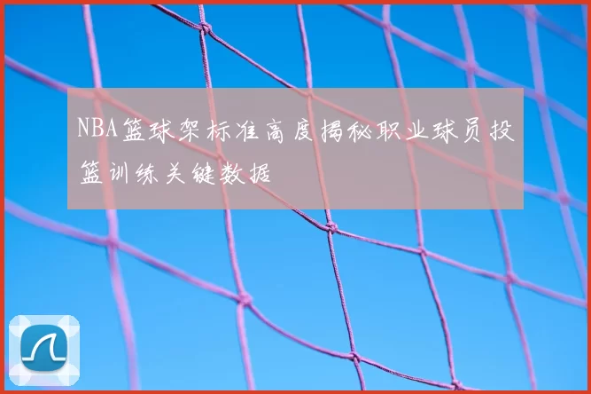 NBA篮球架标准高度揭秘职业球员投篮训练关键数据