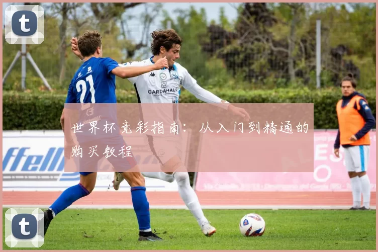 世界杯竞彩指南：从入门到精通的购买教程